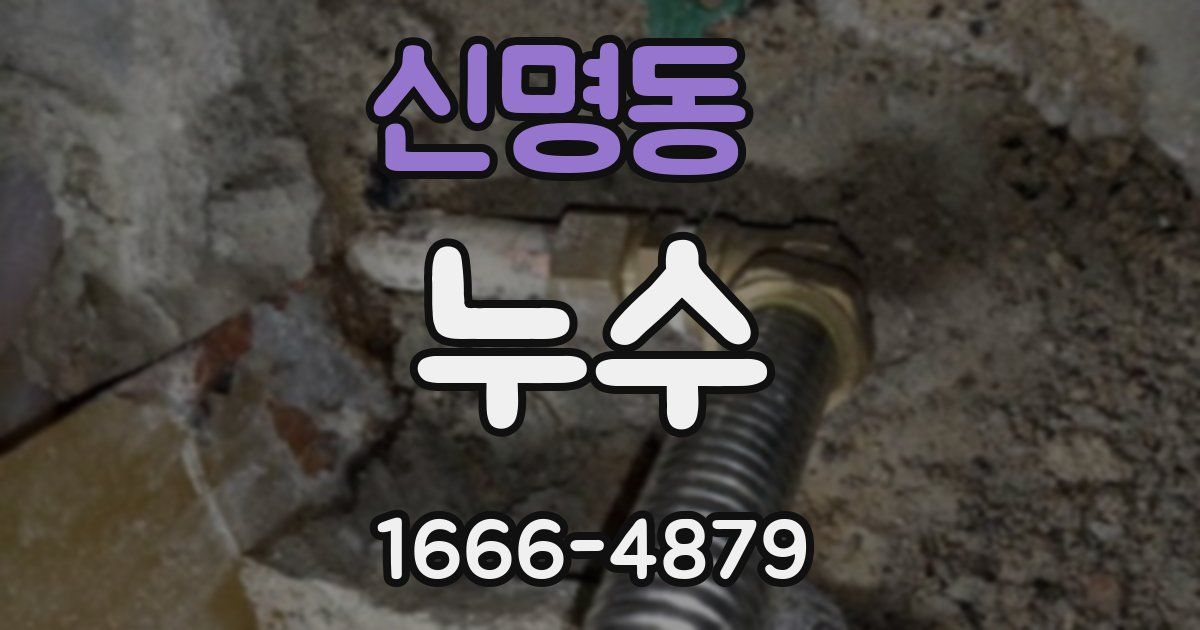 신명동 누수