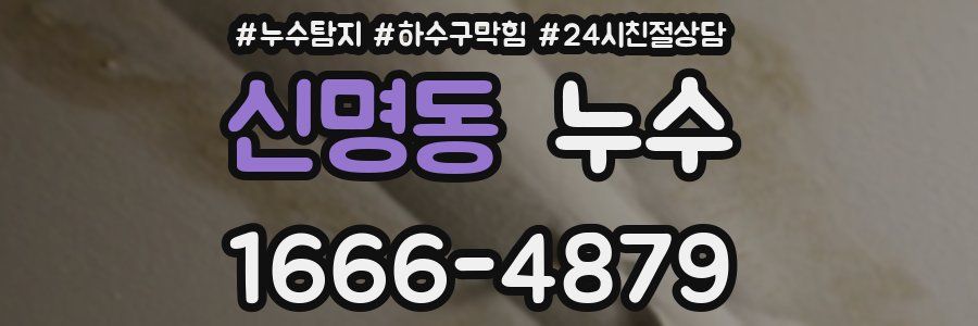 신명동 누수