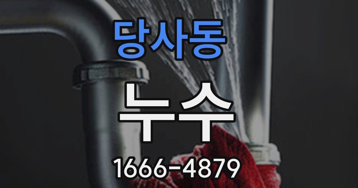 당사동 누수