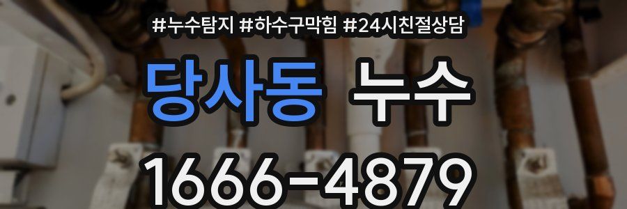 당사동 누수