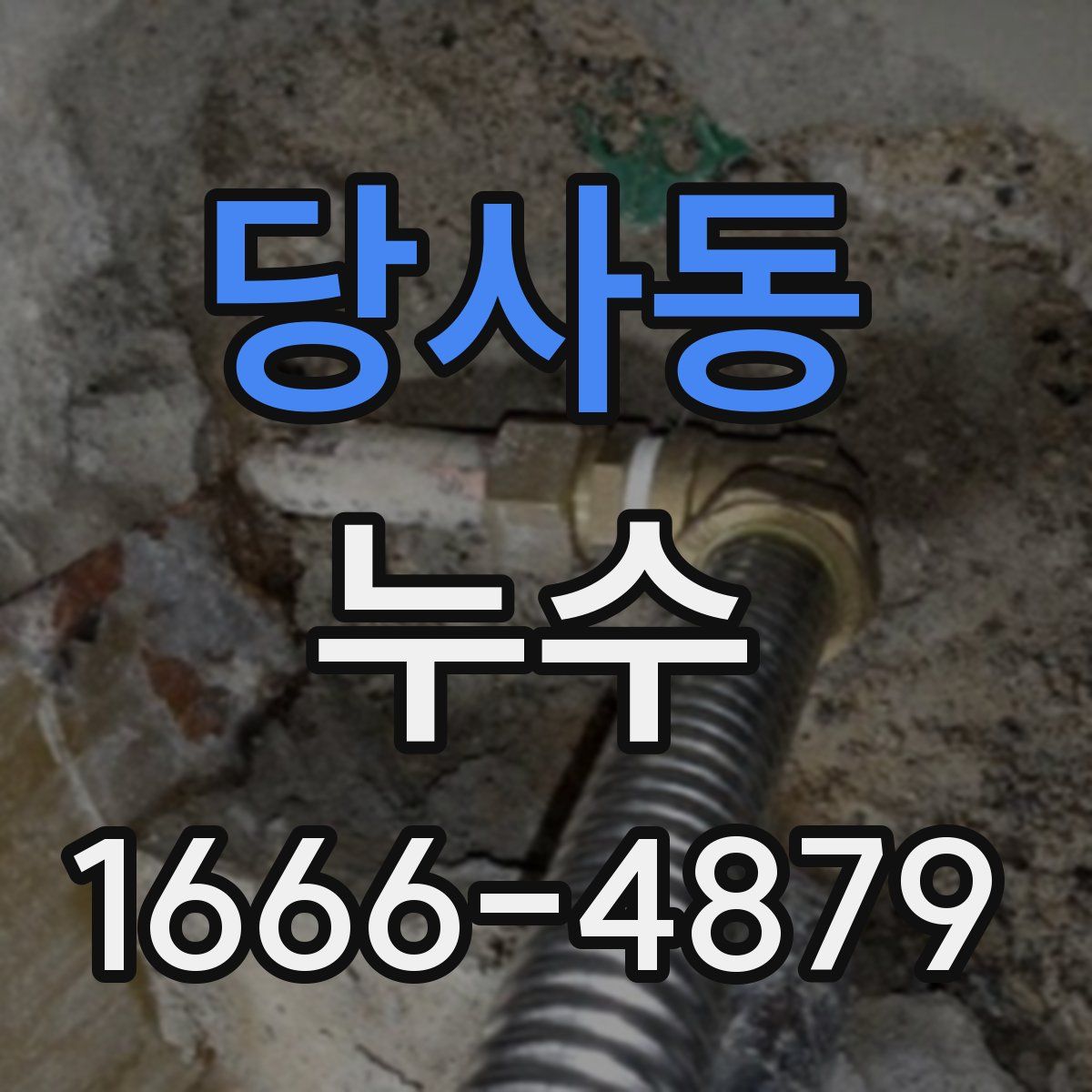 당사동 누수