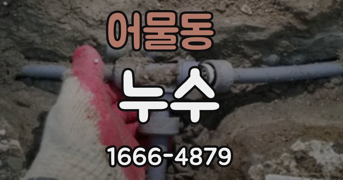 어물동 누수