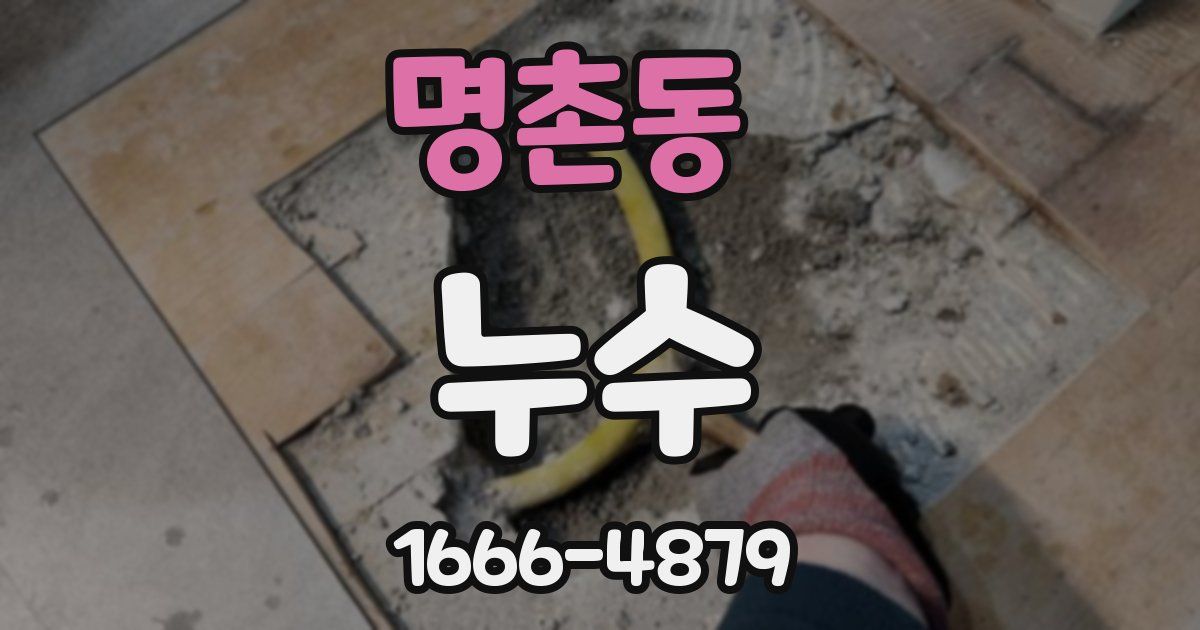 명촌동 누수