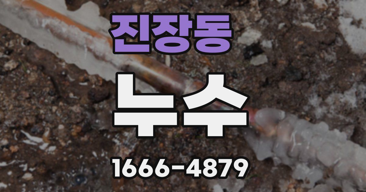 진장동 누수