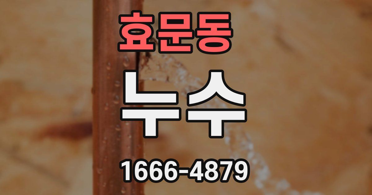 효문동 누수