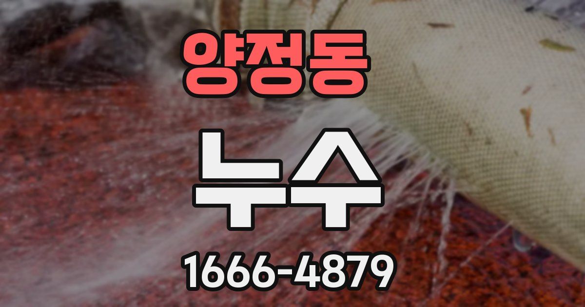 양정동 누수