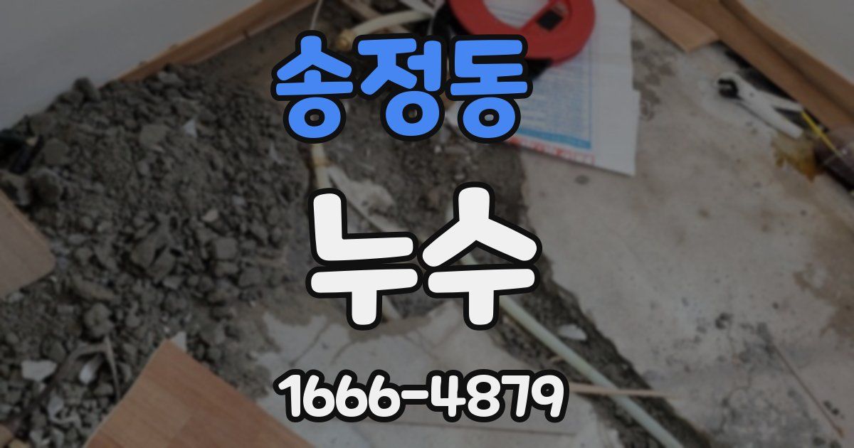 송정동 누수