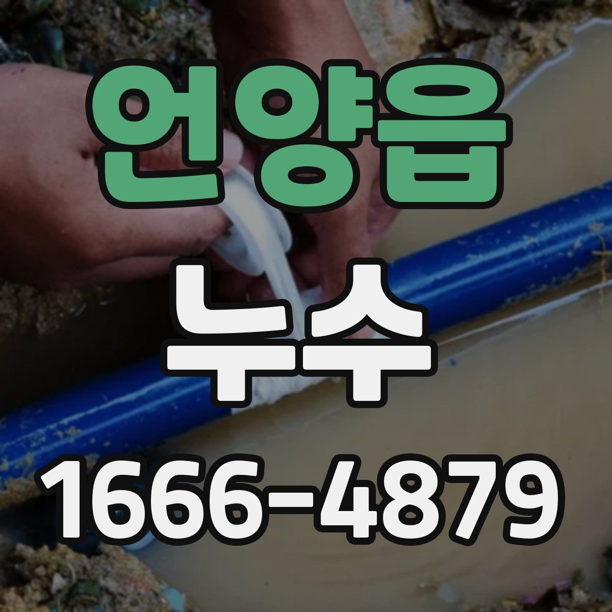 언양읍 누수
