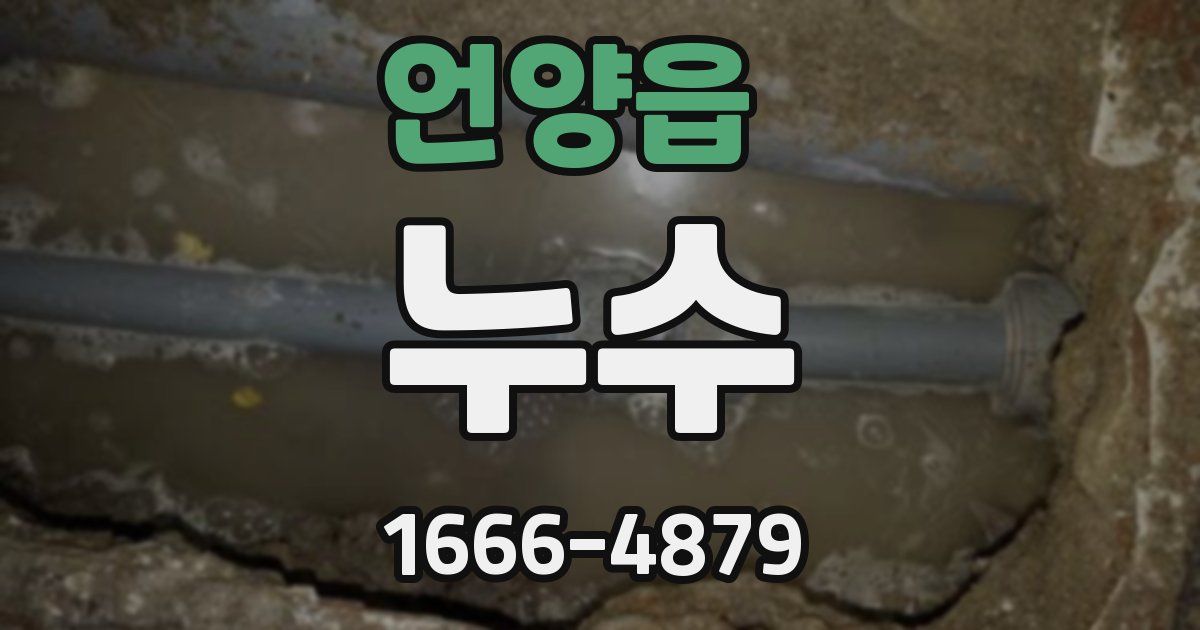 언양읍 누수