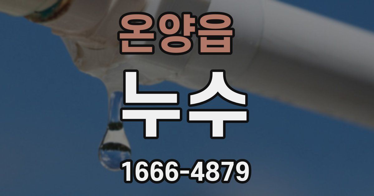 온양읍 누수
