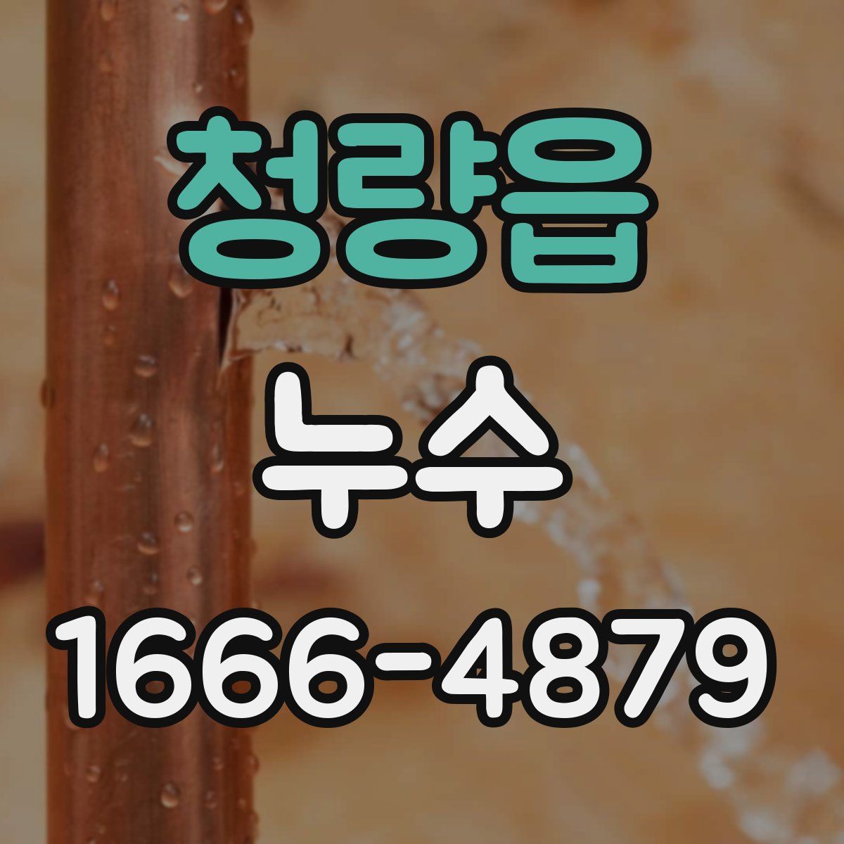 청량읍 누수