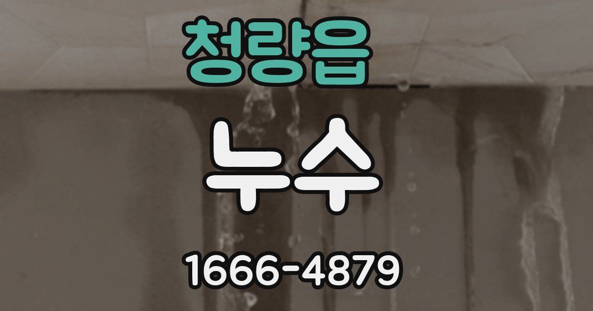 청량읍 누수
