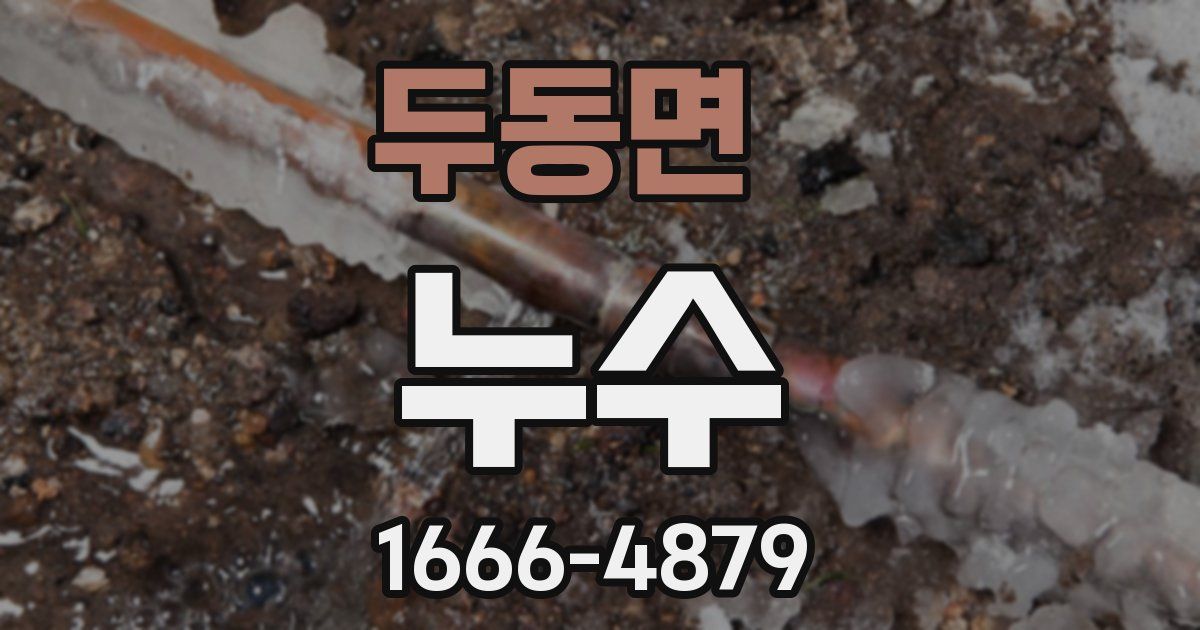 두동면 누수