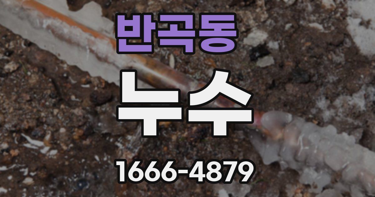 반곡동 누수