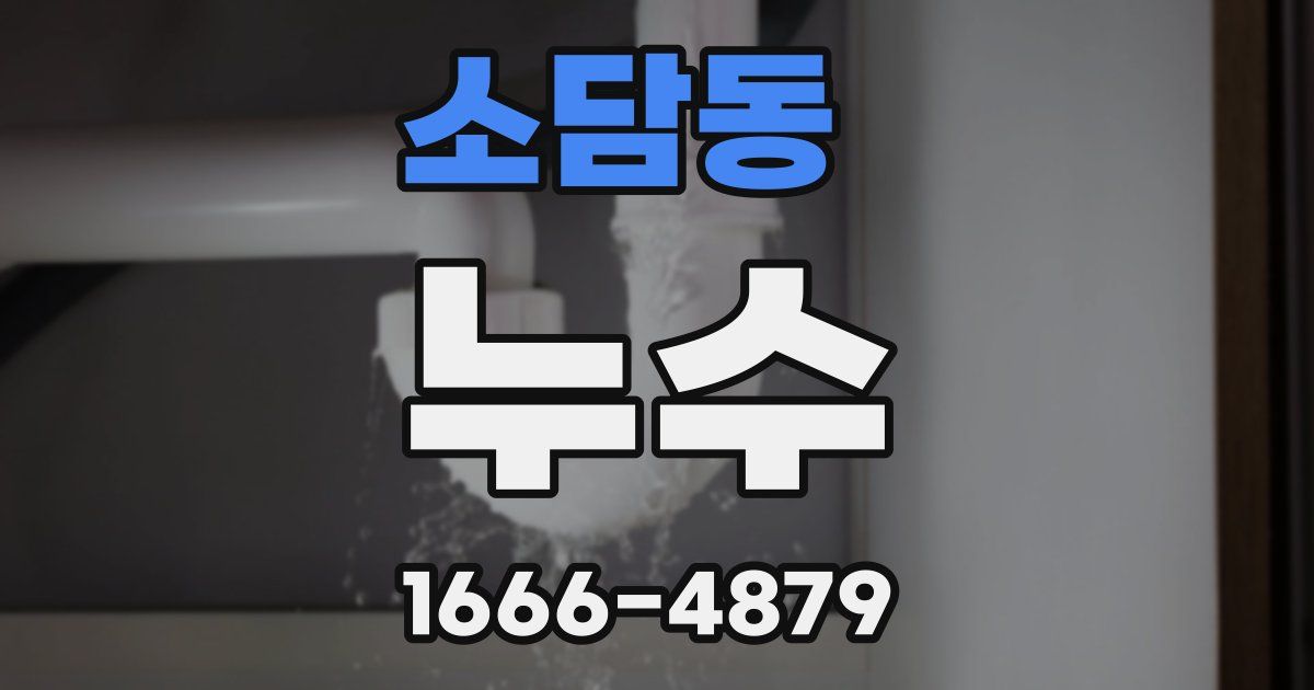 소담동 누수