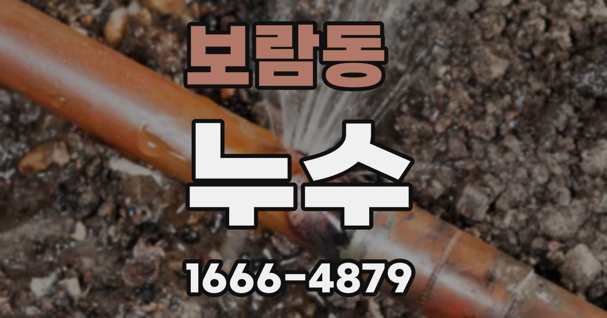 보람동 누수