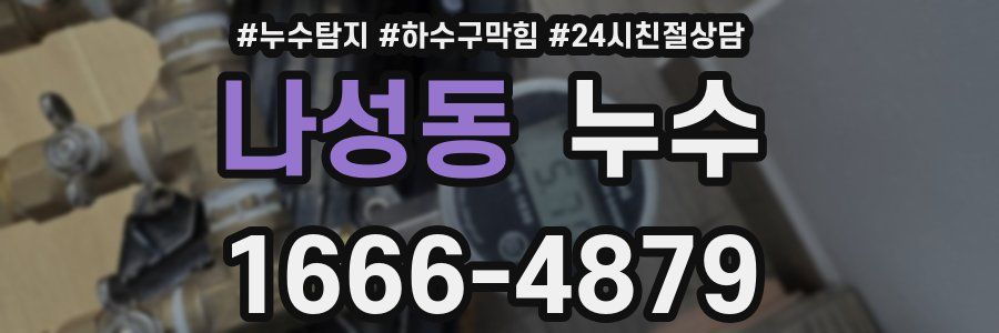 나성동 누수