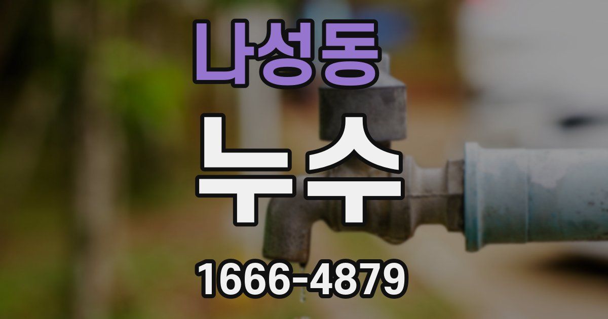 나성동 누수