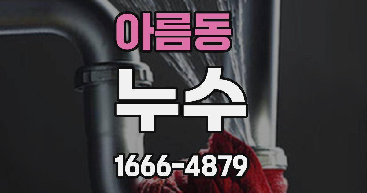 아름동 누수