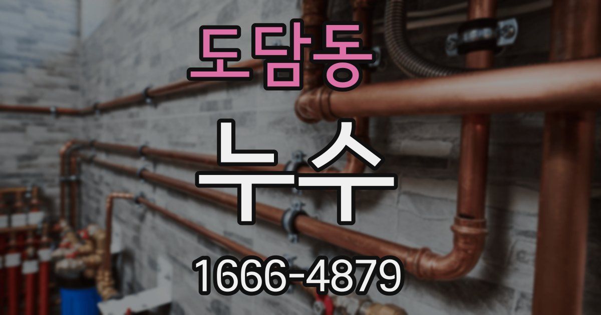 도담동 누수
