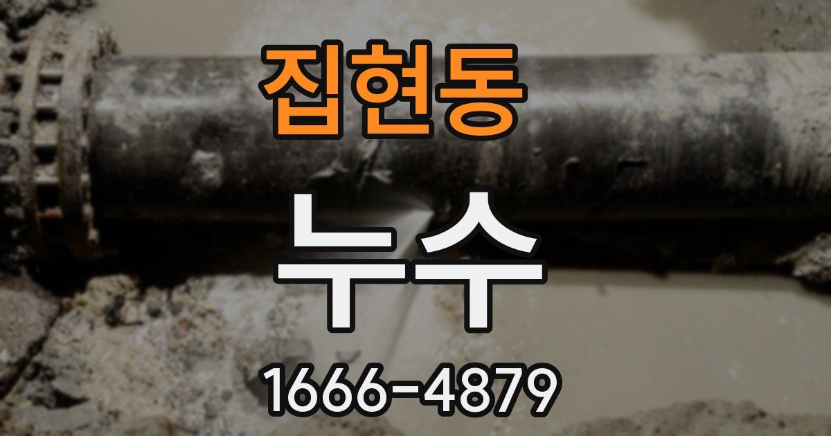 집현동 누수