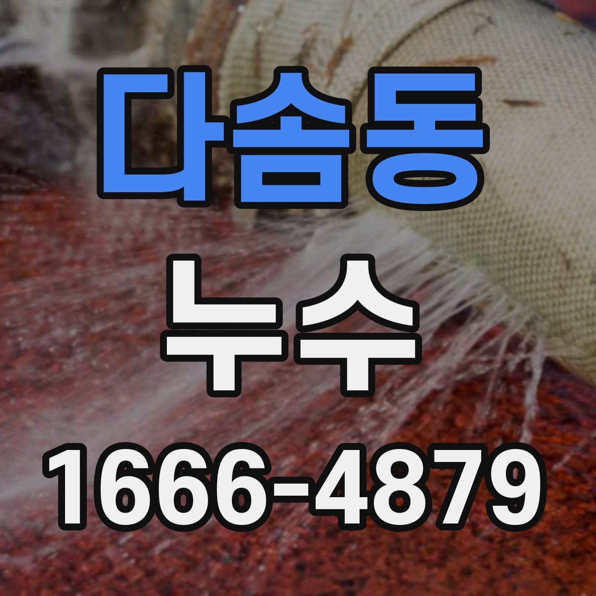 다솜동 누수
