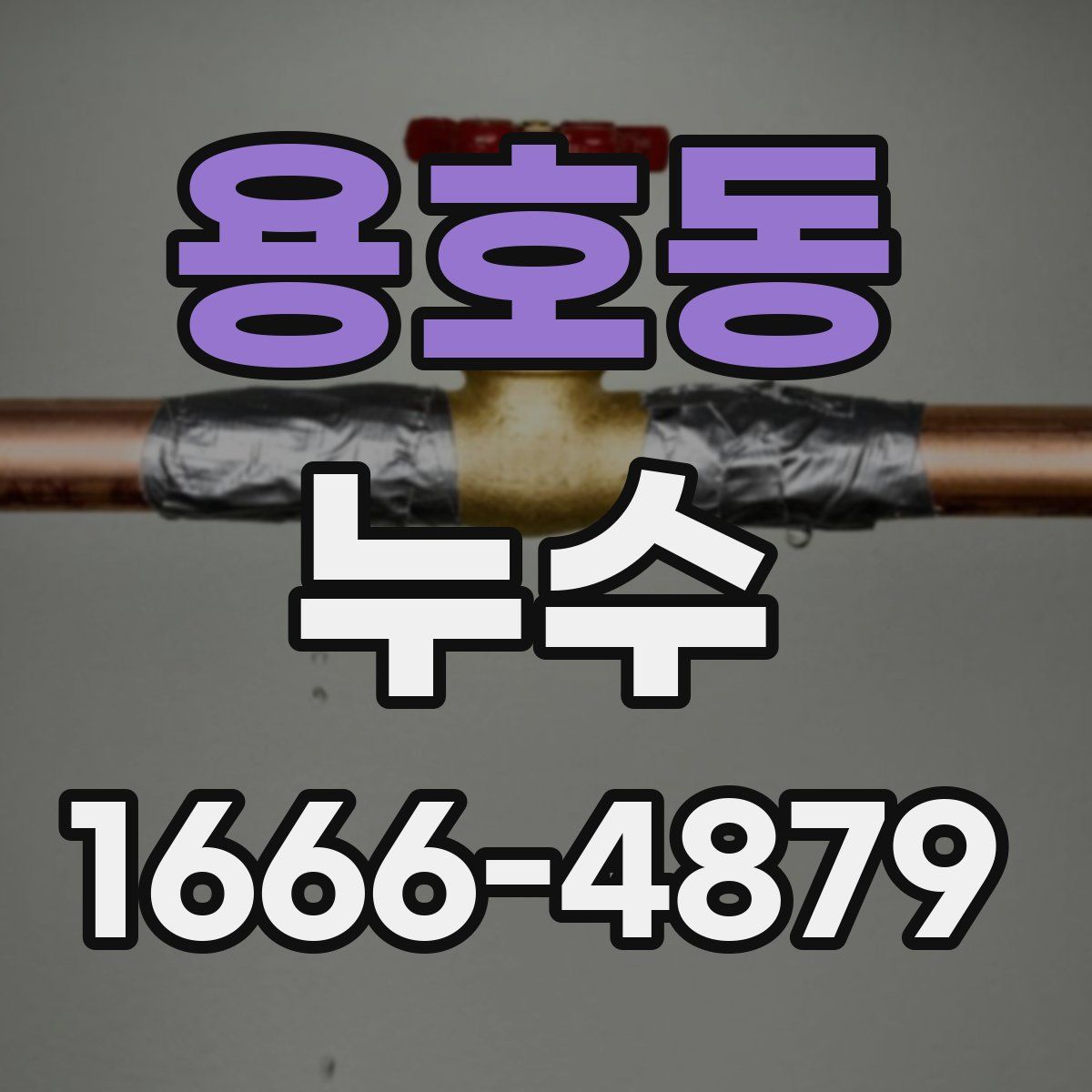 용호동 누수