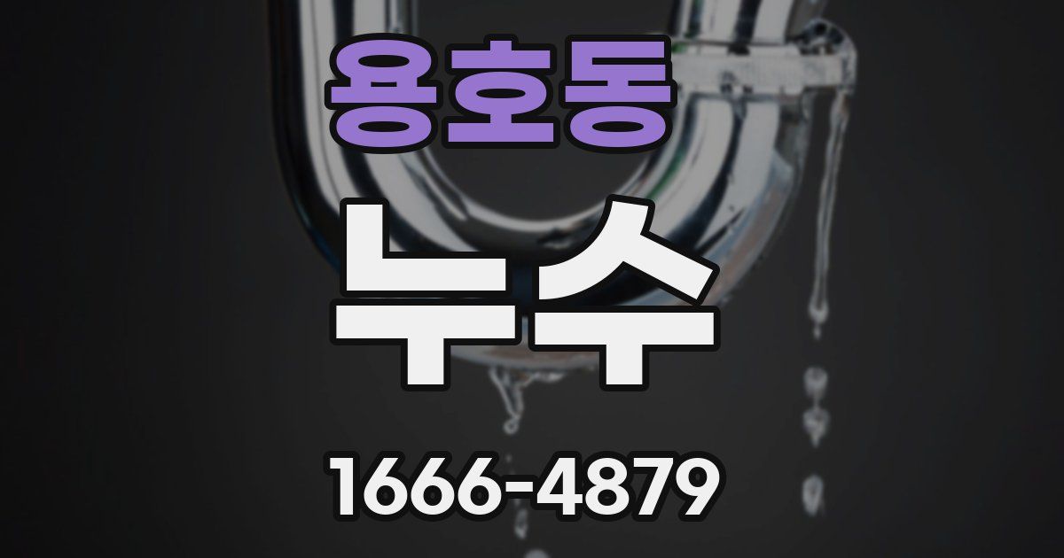 용호동 누수