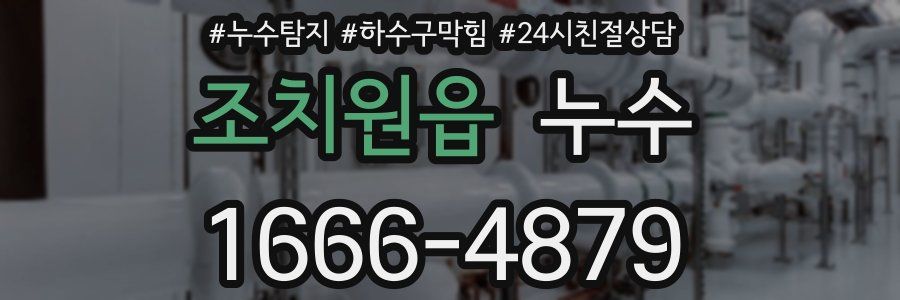 조치원읍 누수