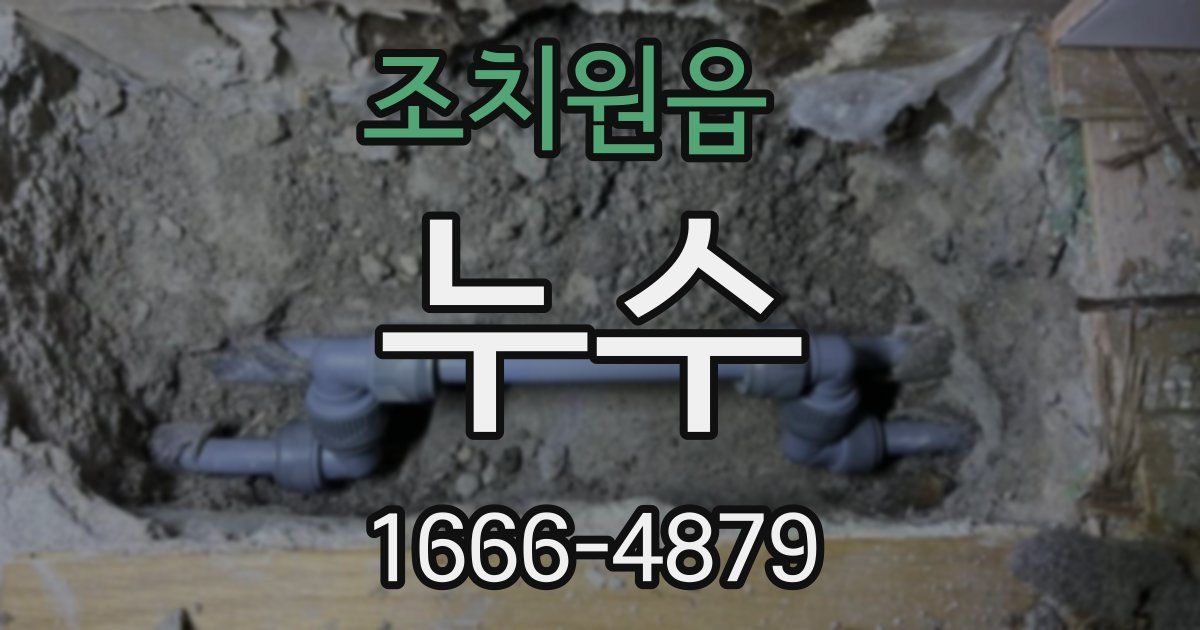 조치원읍 누수