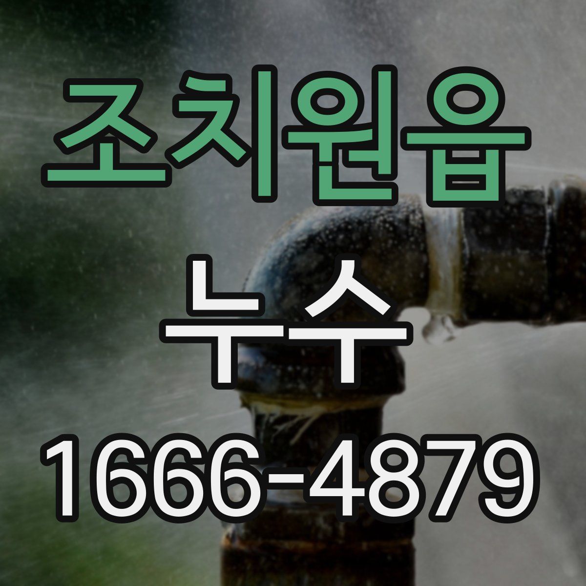 조치원읍 누수