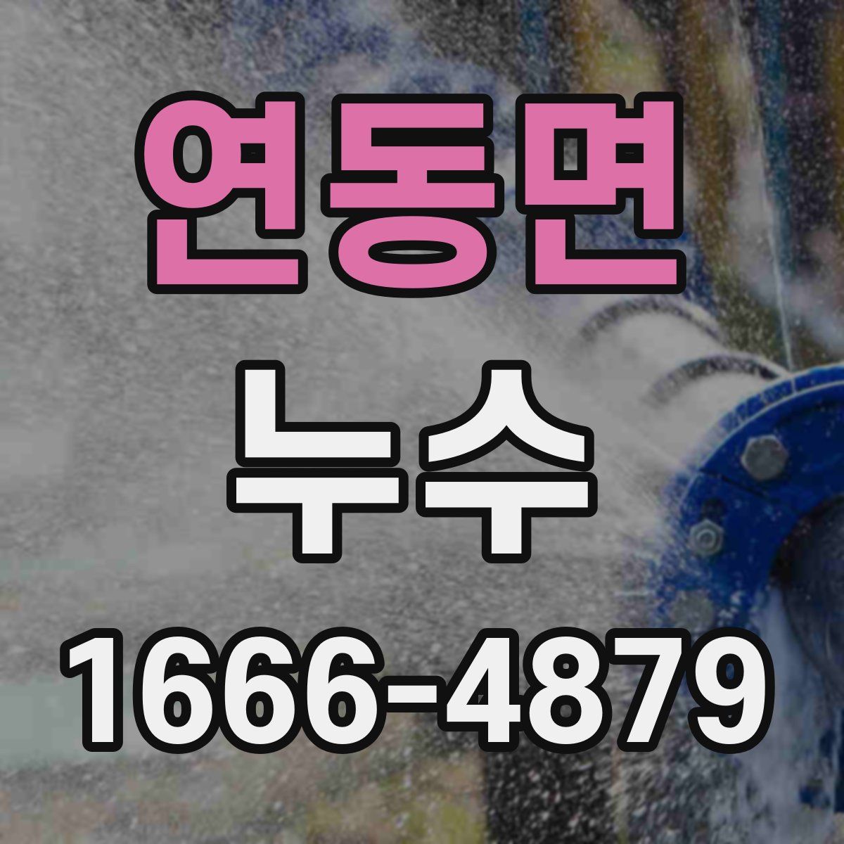 연동면 누수