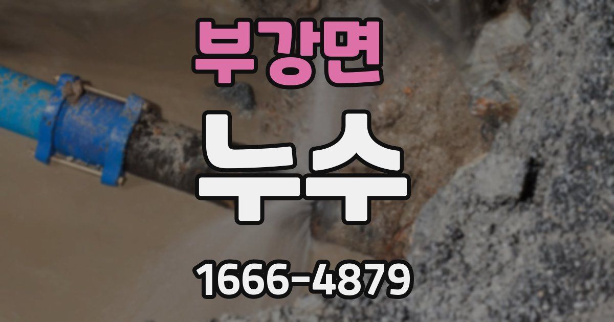 부강면 누수