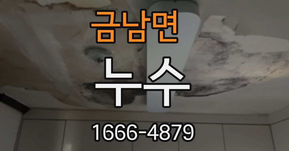 금남면 누수