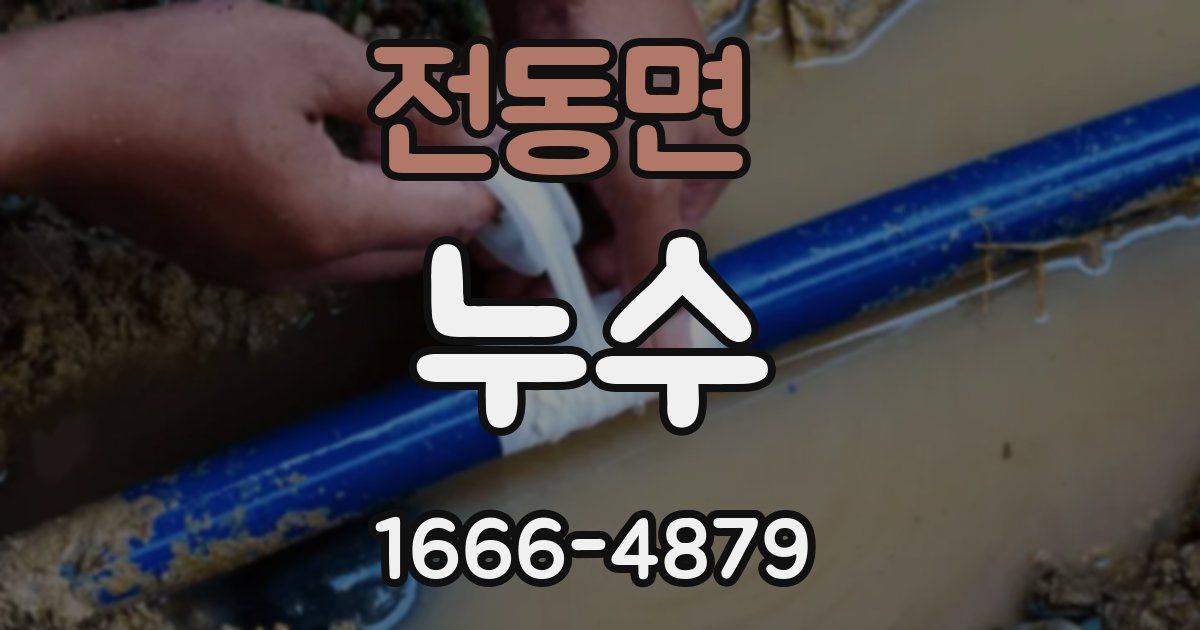 전동면 누수