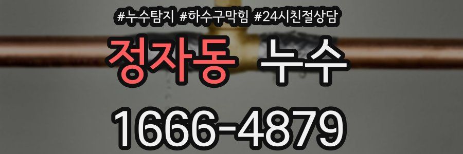 정자동 누수