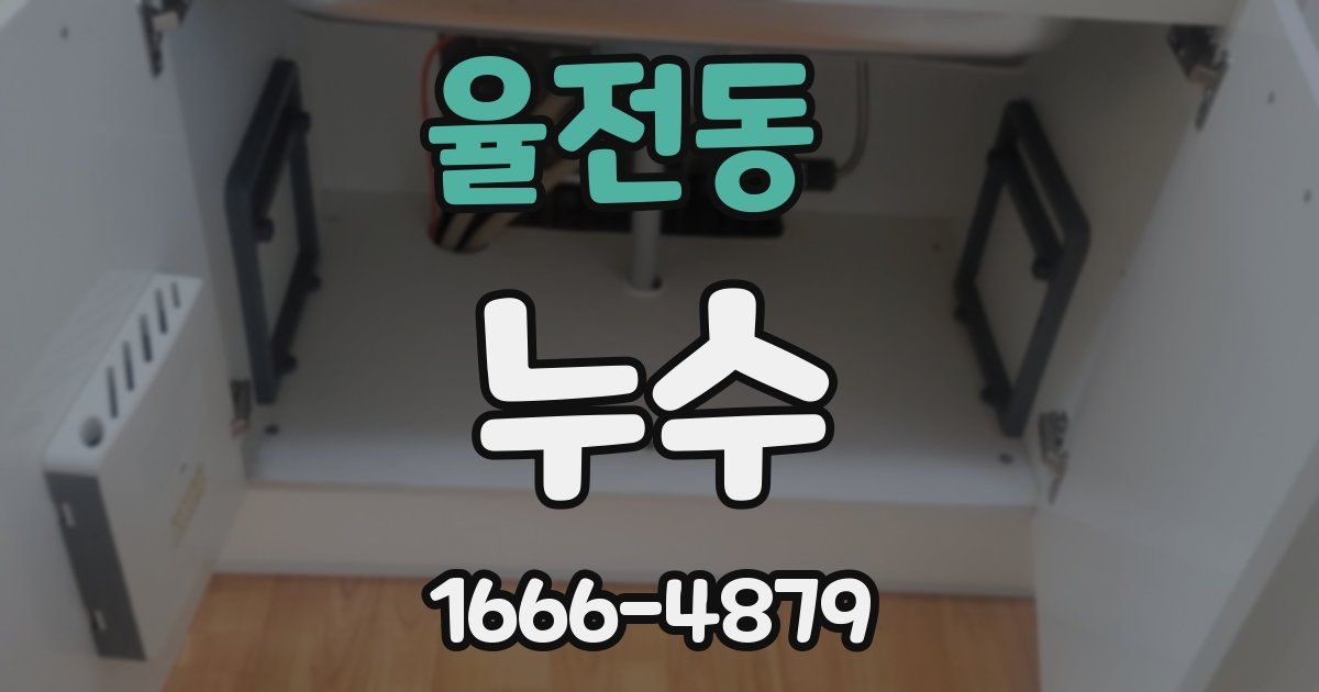 율전동 누수