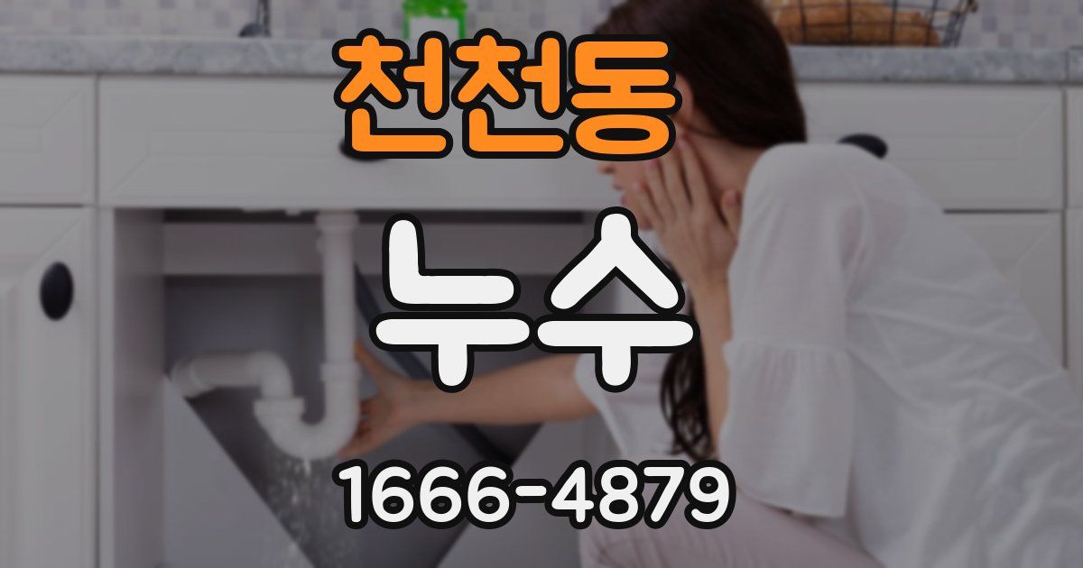 천천동 누수