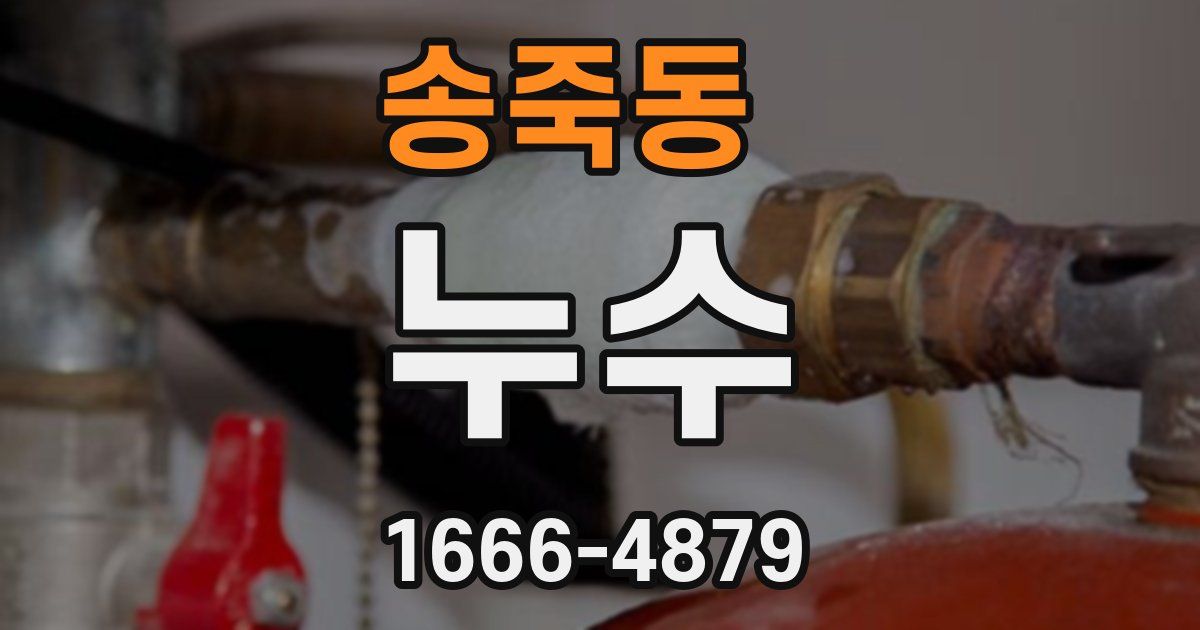 송죽동 누수