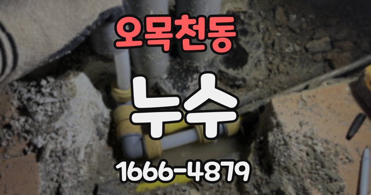오목천동 누수