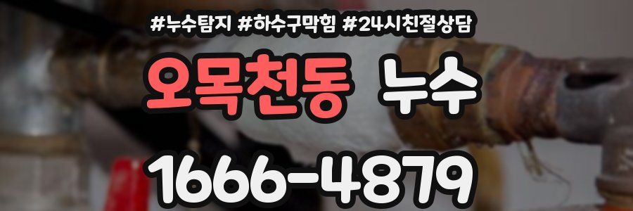 오목천동 누수