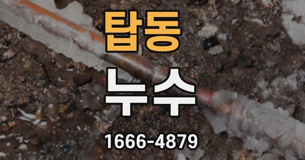 탑동 누수