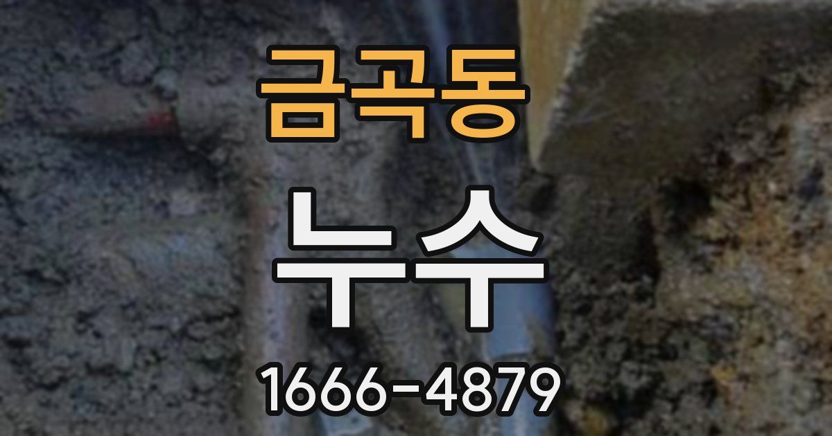 금곡동 누수