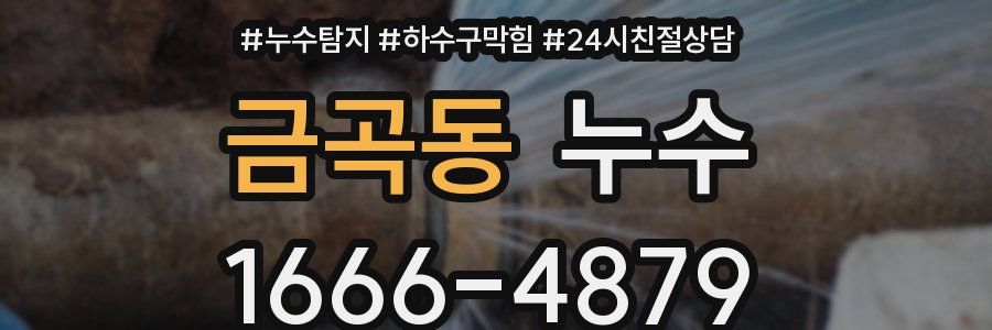 금곡동 누수