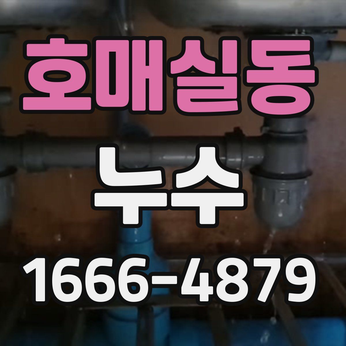 호매실동 누수