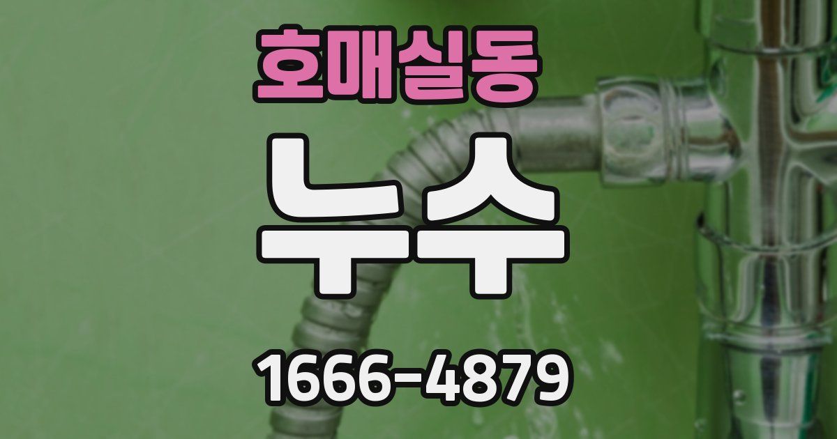 호매실동 누수