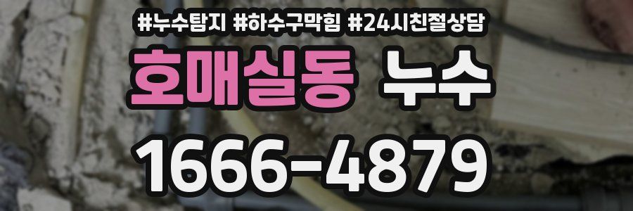 호매실동 누수