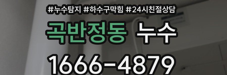 곡반정동 누수