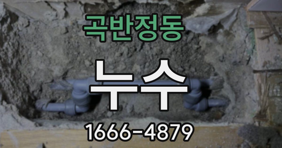 곡반정동 누수