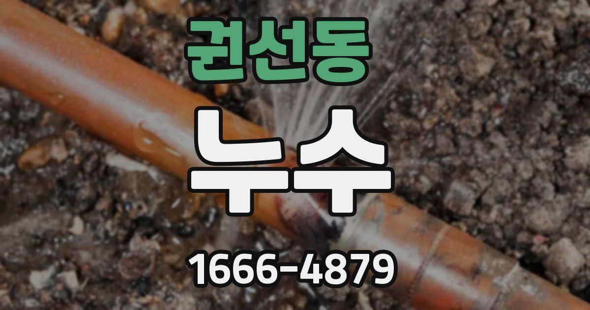 권선동 누수